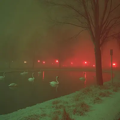Midnight Walk (1)