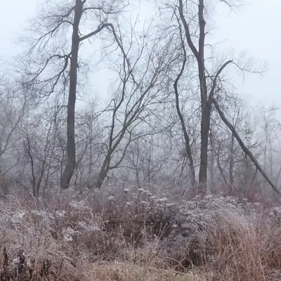 Chasing stillness (1)