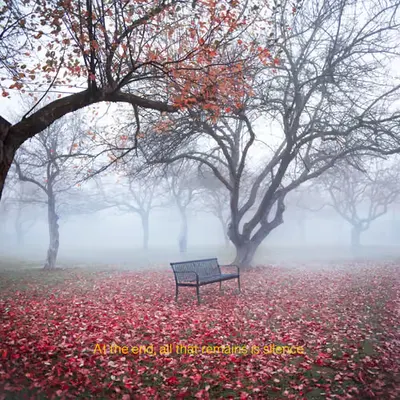 At the end, all that remains is silence.