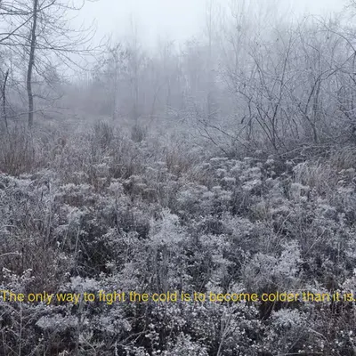 The only way to fight the cold is to become colder than it is.