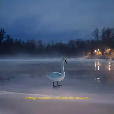 I always wondered you had the answers.