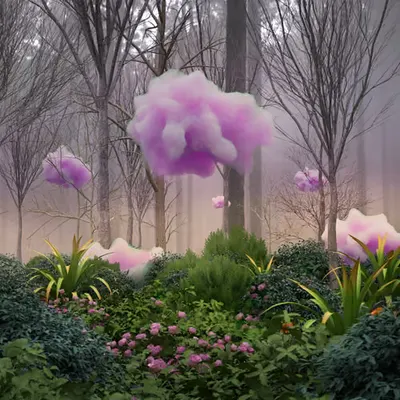 Pink Cloud Forest