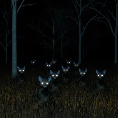 Night Call
