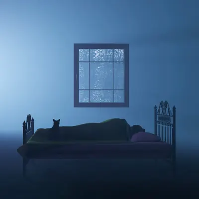 Rain All Night