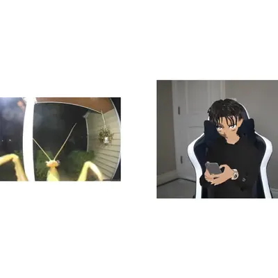 two images 11/25/24