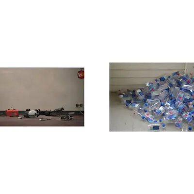 two images 3/31/25