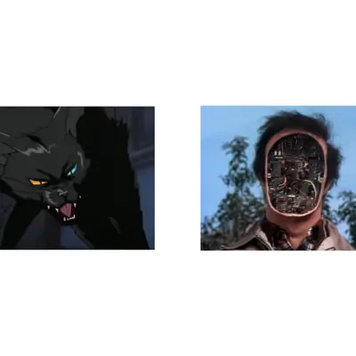 two images 2/6/25