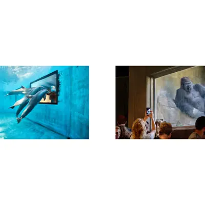 two images 2/22/25