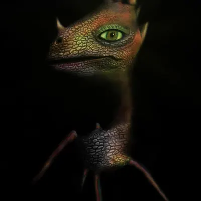 Draquito