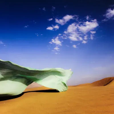 Whispers of the Desert Breeze