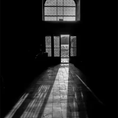 Light’s Pathway