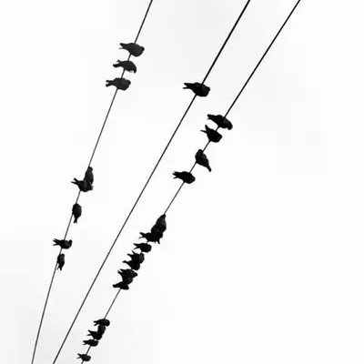 Silent Melody