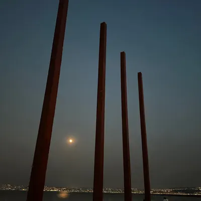 Silent Sentinels Under the Moon