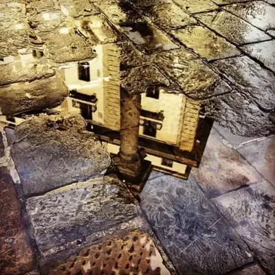 Timeless Reflection