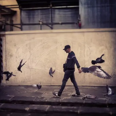 Solitary Steps and Feathered Companions