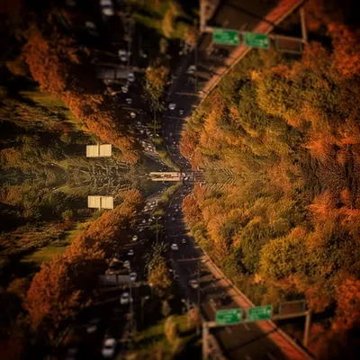 Autumn road