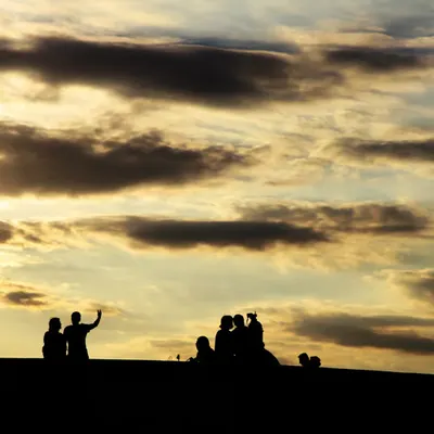Silhouettes Against a Golden Sky