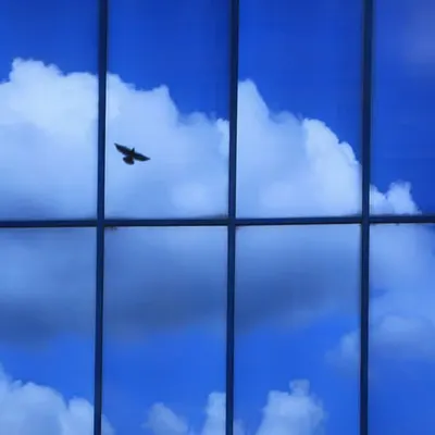Solitary Flight in the Blue