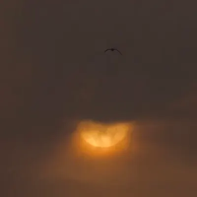 Veiled by Rainclouds