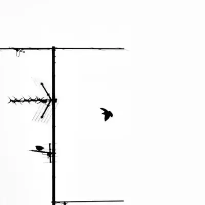 Echoes in Flight