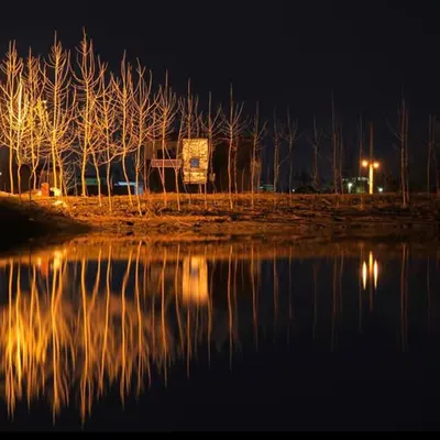 Night Reflection