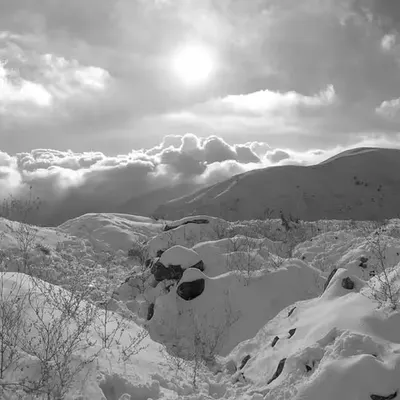 Serenity in Winter’s Embrace