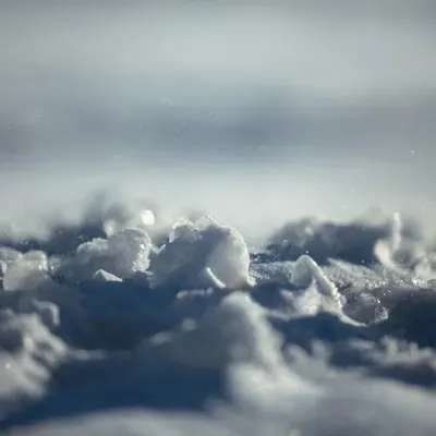 cold 1