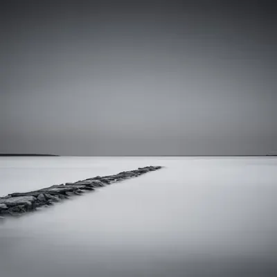 SILΞNT JΞTTY