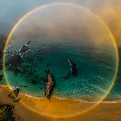 Circle of Aloha 