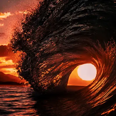 Portal of Fire