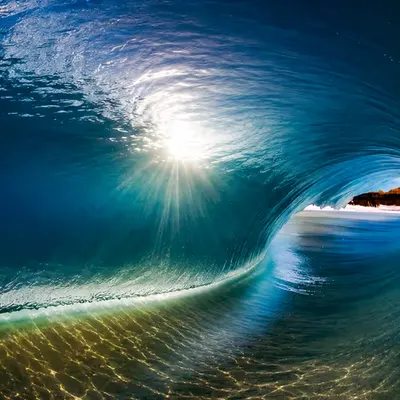 Inside the Light