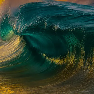 Golden Hollow