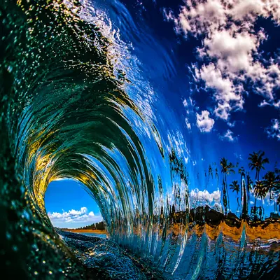 Liquid Paradise