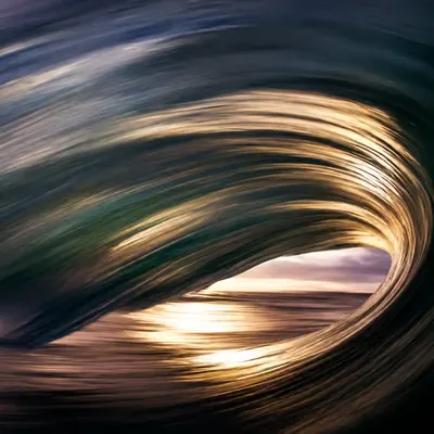 Light in Motion