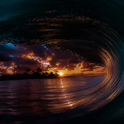 Into the First Light