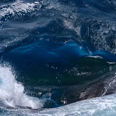 Into the Deep
