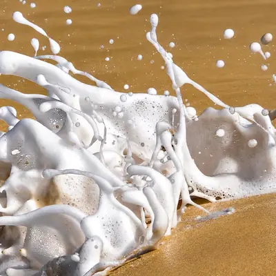 Sculpted by the Sea