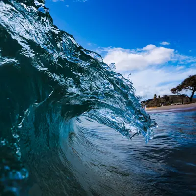 Dragon Wave