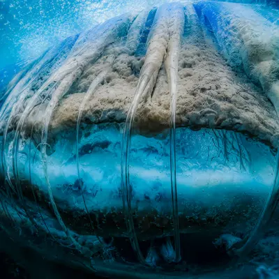 Frozen Between Worlds
