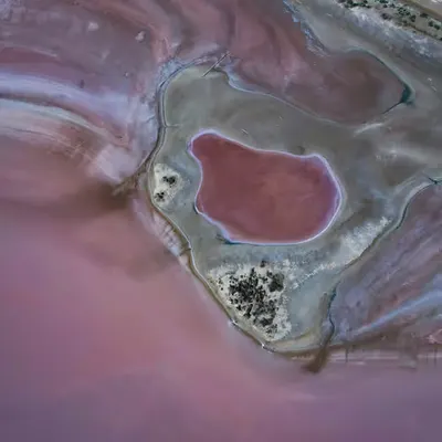 GeoLegacy Ear