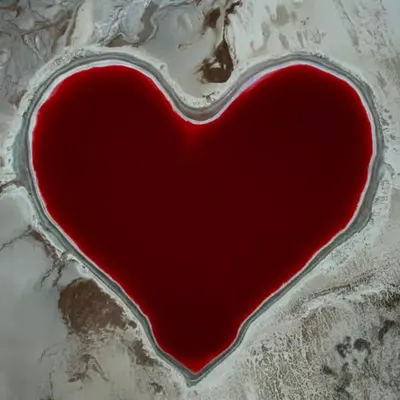 GeoLegacy Red Heart