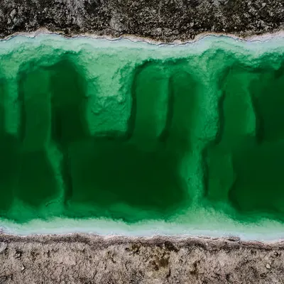 GeoLegacy Green Biohazard 