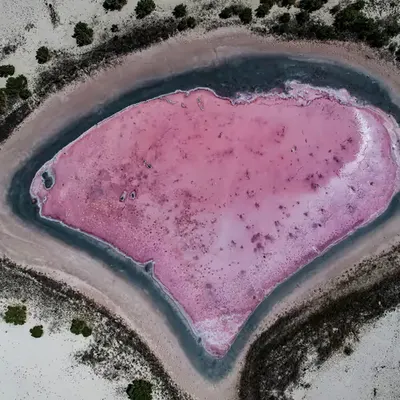 GeoLegacy Pink Heart Lake 