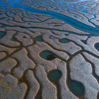 Tidal Textures