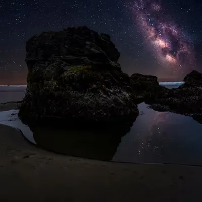 PNW Stars 