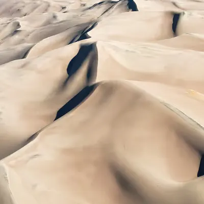 Sculpted Shadows 