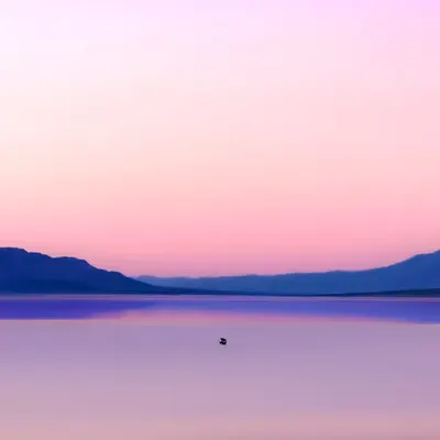 Walking on Water