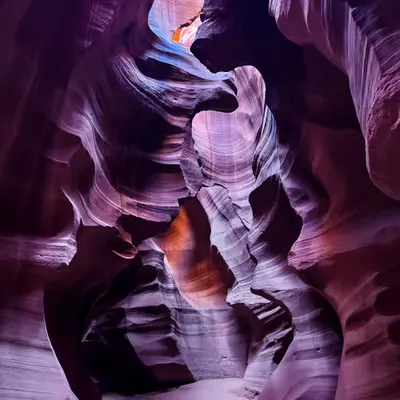 Elephant Passage