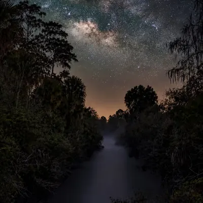 Everglades After Dark