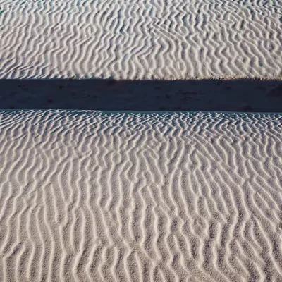 Sand Veins 
